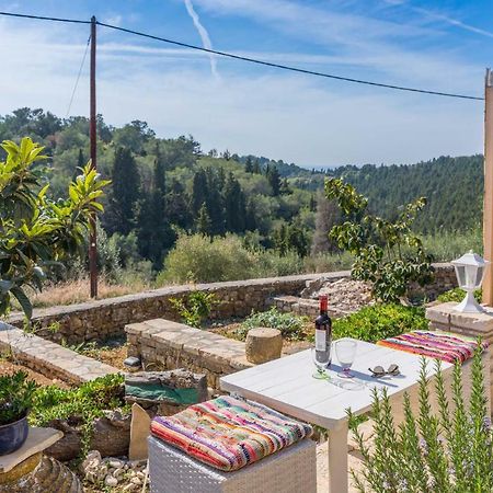 Villa Sterna House By Konnect à Vlachopoulátika Extérieur photo